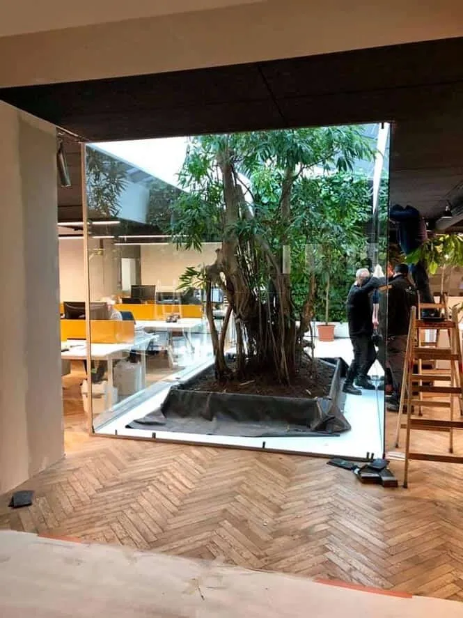 Atrium vitré en open space — cloison en verre sur mesure au Luxembourg — Vitralux Bradtke