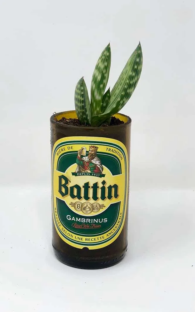 Bouteille de bière Battin transformée en cache-pot — découpe de bouteille en verre Luxembourg — Vitralux Bradtke