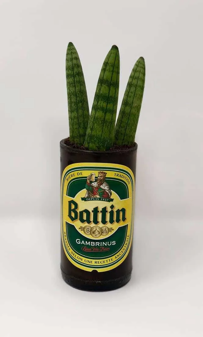 Bouteille Battin upcyclée en pot de plante verte — découpe de bouteille en verre Luxembourg — Vitralux Bradtke
