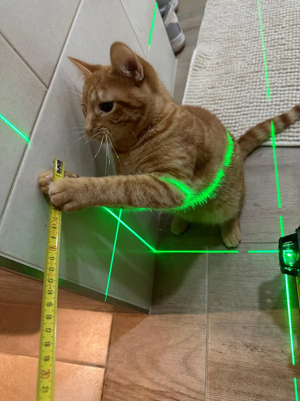 Prise de mesure au niveau laser avant découpe d'une chatière dans un vitrage — Vitralux Bradtke