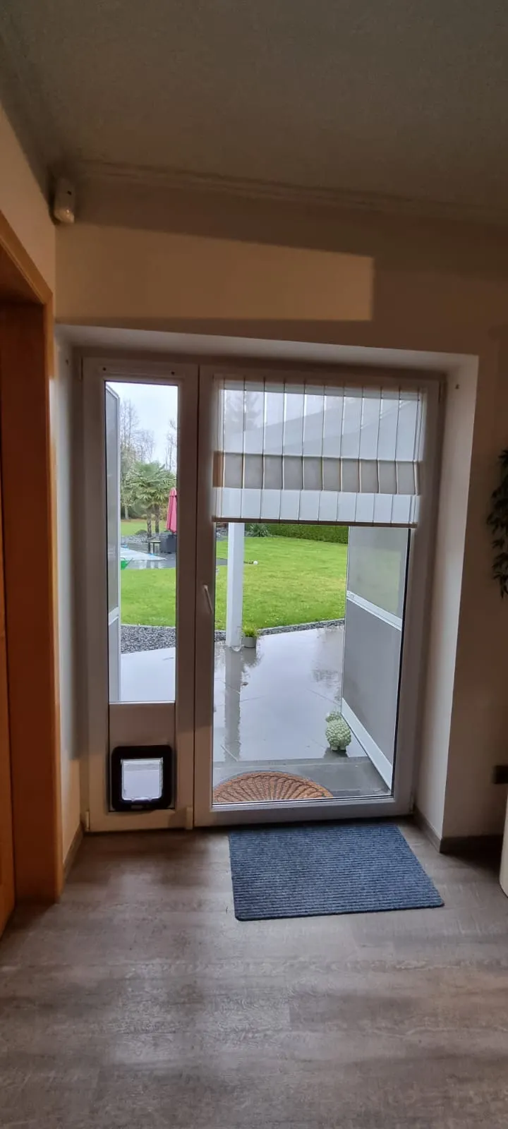 Chatière verre sur mesure pour chat Luxembourg — Vitralux Bradtke